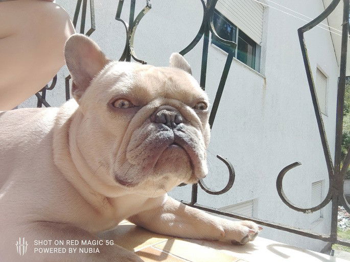 Câmara do ZTE Nubia Red Magic 5G