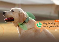 Fala, ouve e acompanha o teu animal de estimação à distância com o primeiro smartphone para pets