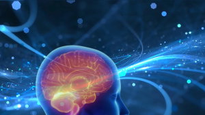 O téu cérebro faz isto 15 vezes por segundo e tu nem reparas. Diz neurocientista