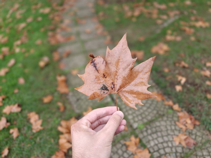 Captada com o OPPO Find X9 Pro