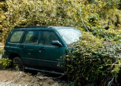 Os seguros automóveis cobrem danos por cheias ou queda de árvores?