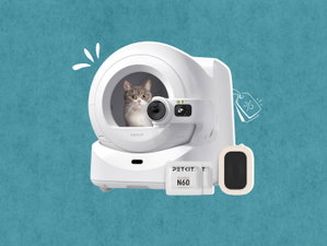 Pais que amam pets: 10 gadgets tech com descontos até 46% para cuidar do teu pet