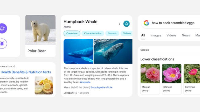 Pesquisa Google mobile