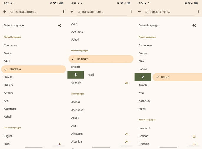 Pin Language google translate