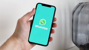Portal do Governo renovado: o que muda e como receber alertas no WhatsApp