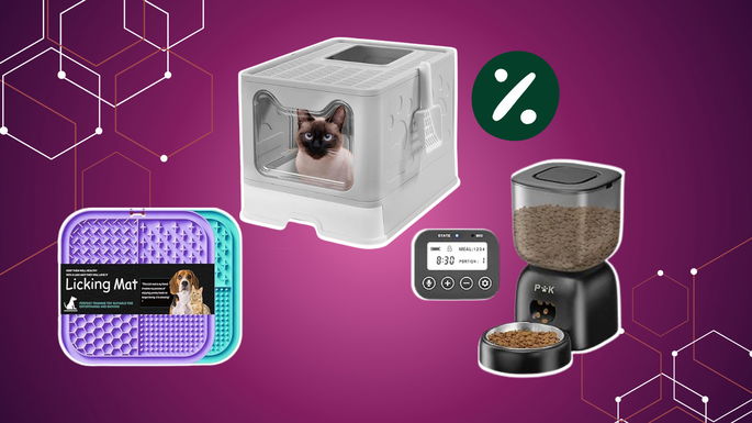 cinco gadgets para os patudos