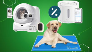 Prime Day chegou mais cedo: 10 gadgets em promoção que vão pôr o teu patudo a abanar a cauda!
