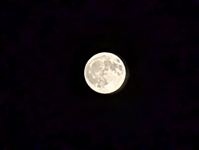 Modo Noite