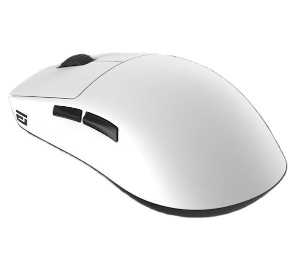 Rato Gaming Endgame Gear OP1we Wireless