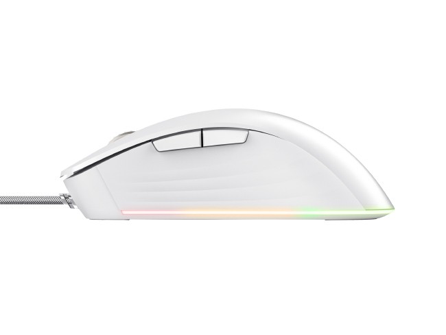 Rato Trust GXT 922 Ybar