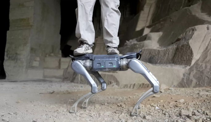 robodog unitree