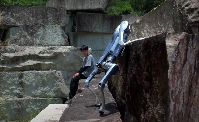 robodog unitree