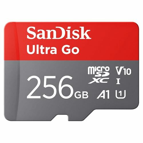 SanDisk Ultra Go 256 GB