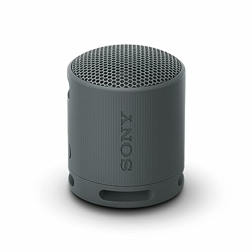 Sony Altifalante Bluetooth SRS-XB100, leve, compacto, altifalante resistente à água e ao pó IP67