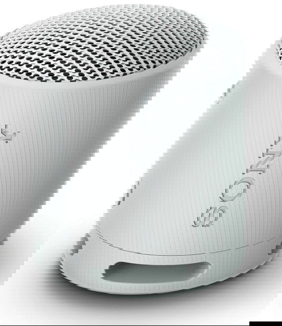 Sony SRS-XB100