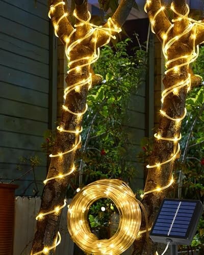 Tacobey Guirnalda Luz Solar 10 m 100 LED