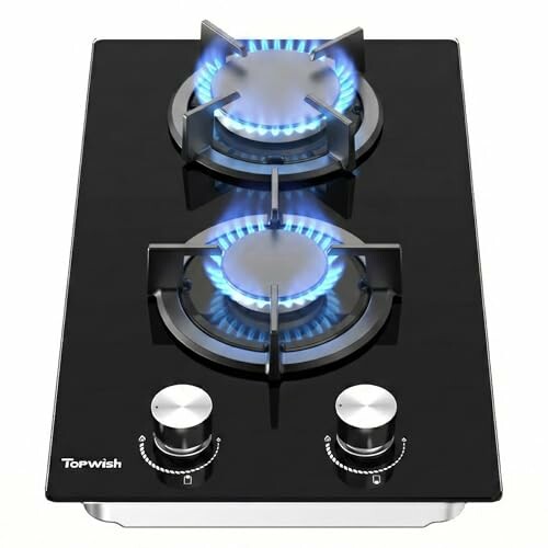 Topwish Placa de g&aacute;s 2 fogos 4750 W