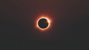 Vais estar a trabalhar durante o eclipse? O que a empresa deve dar, segundo a DGS