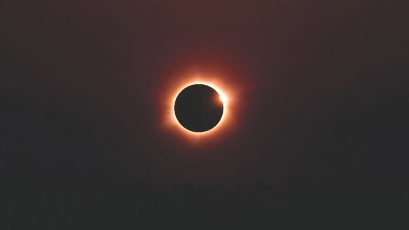 Vais estar a trabalhar durante o eclipse? O que a empresa deve dar, segundo a DGS