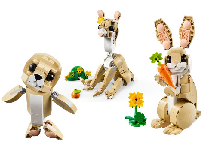 Coelhinho Adorável  3 em 1