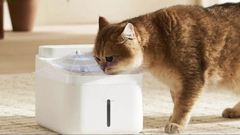 Xiaomi: novo acessório para animais com bateria para 3 meses que purifica a água sozinho