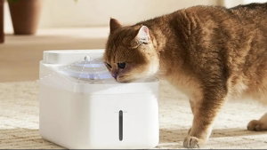 Xiaomi: novo acessório para animais com bateria para 3 meses que purifica a água sozinho