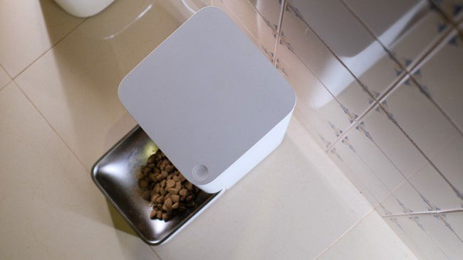 alimentador automático Xiaomi Pet Feeder