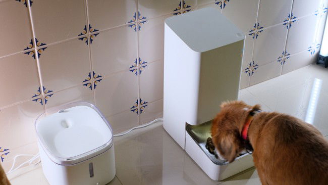 alimentador automático Xiaomi Pet Feeder