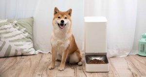 Xiaomi tem os melhores gadgets para o teu cão e gato a bom preço!